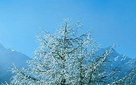 无限短信网页在线轰炸