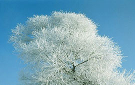 手机号轰在线轰炸